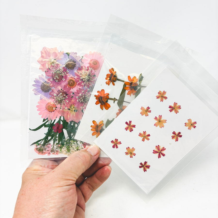 Bundle of Pressed Flowers (3)