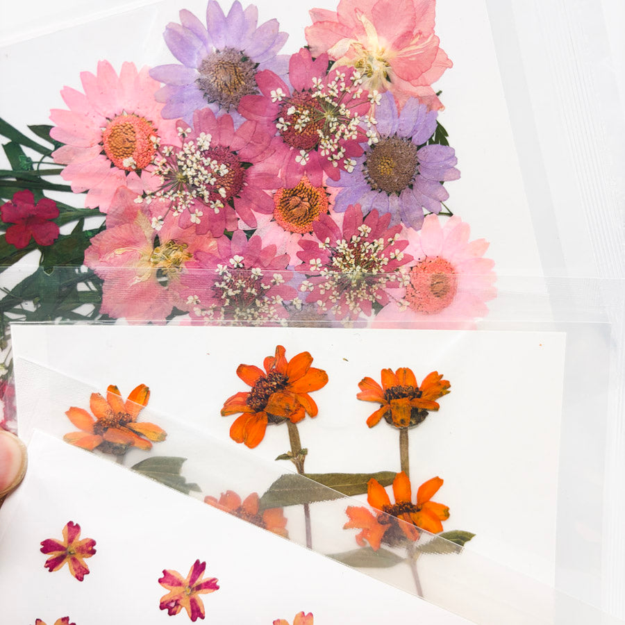 Bundle of Pressed Flowers (3)