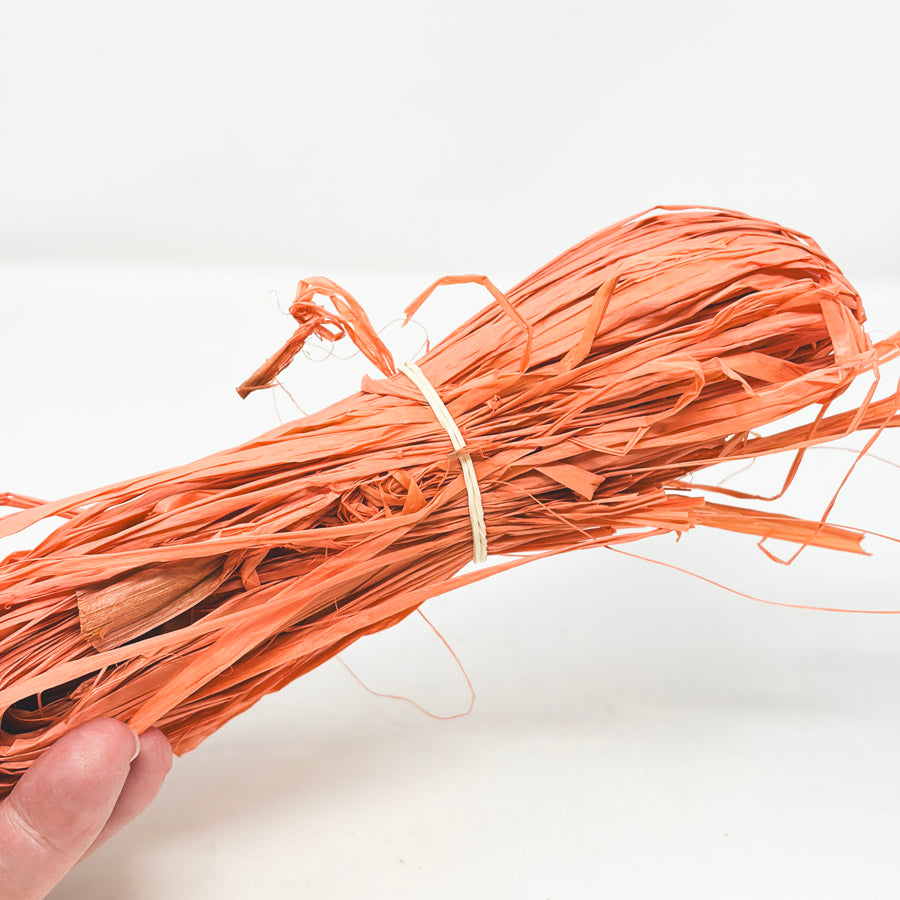 Coral Raffia