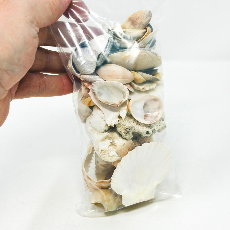 Bag of Seashells (Broken)