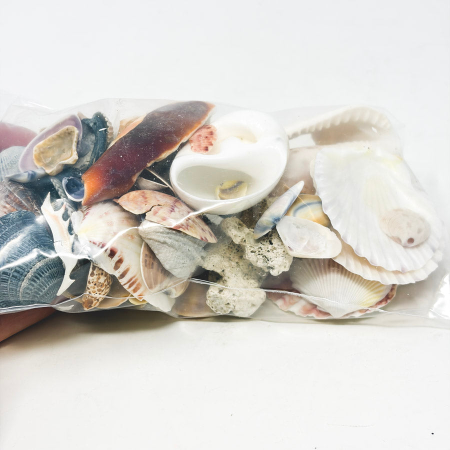 Bag of Seashells (Broken)