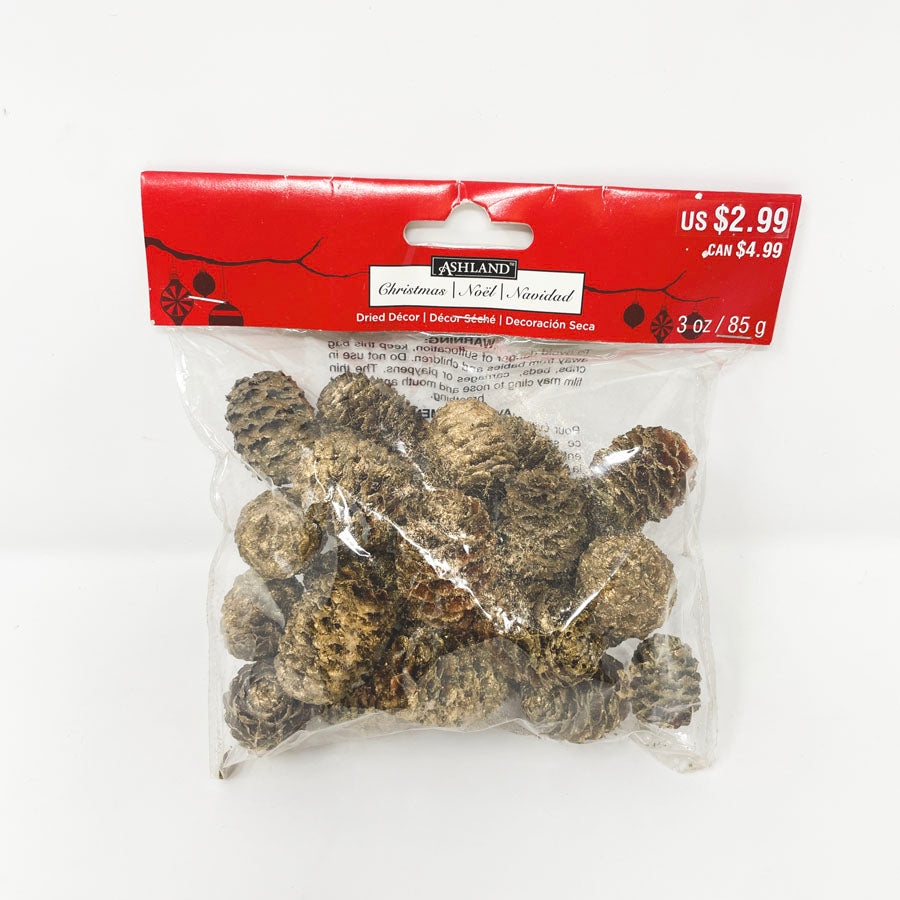 Ashland Dried Gold-Accent Pinecone Decor