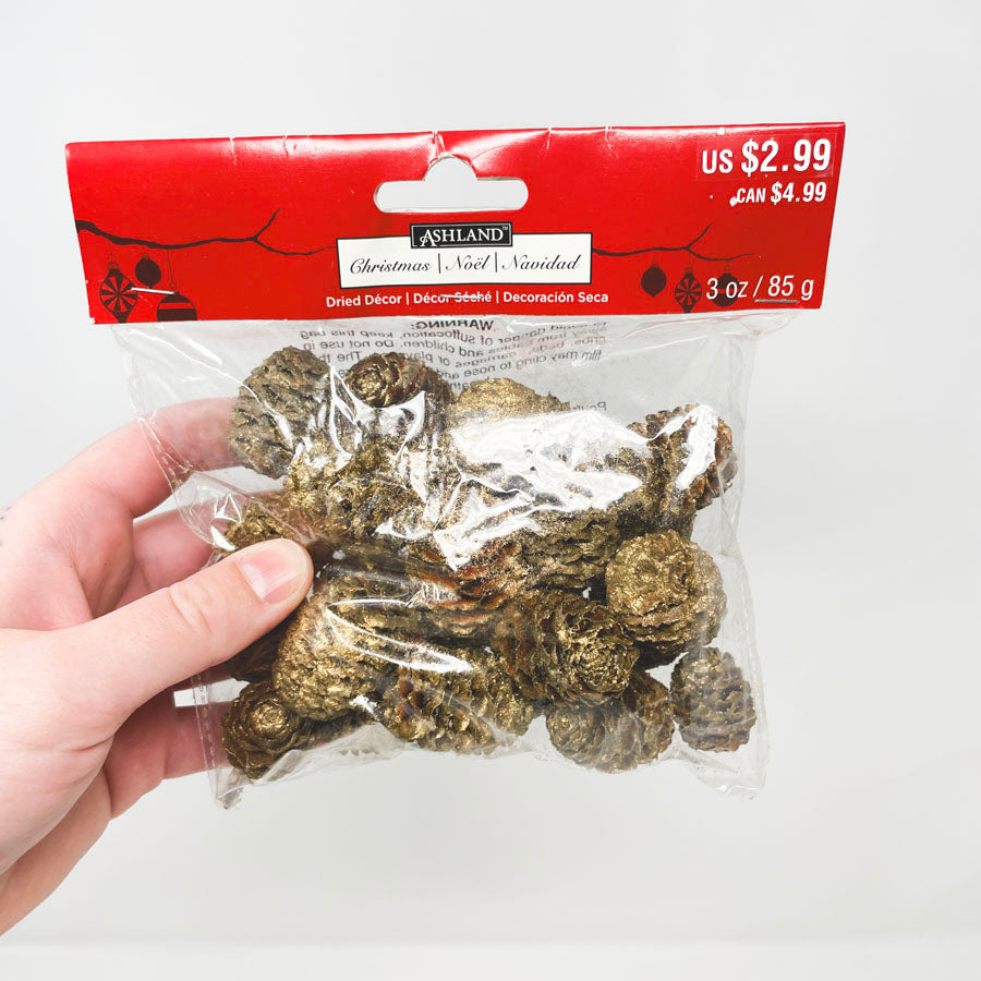Ashland Dried Gold-Accent Pinecone Decor