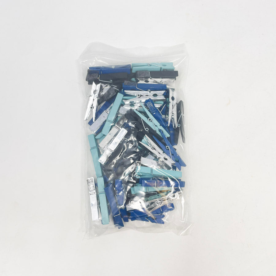 Mini Clothespins Bundle