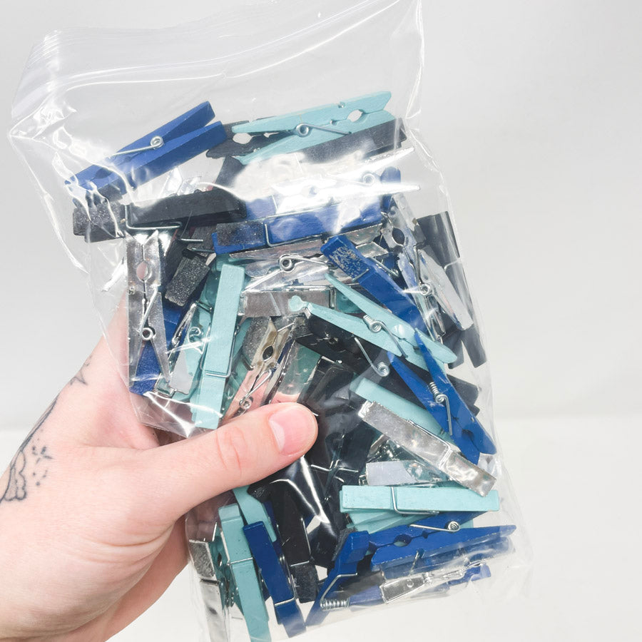 Mini Clothespins Bundle