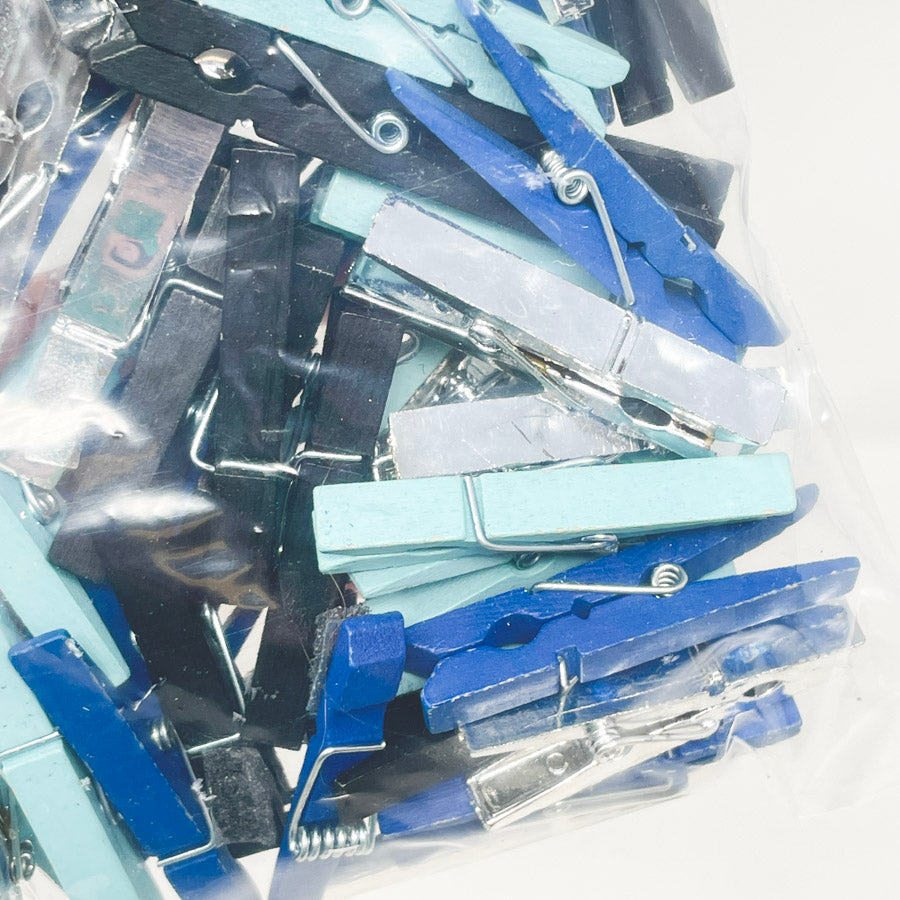 Mini Clothespins Bundle