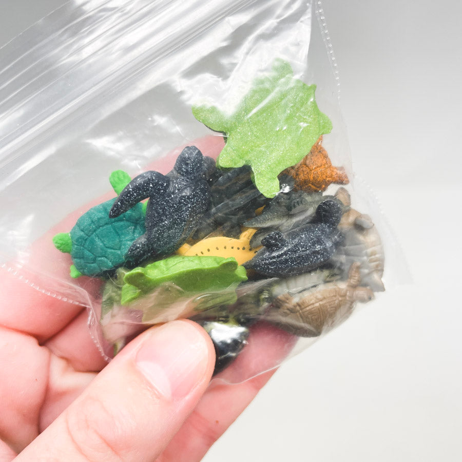 Tiny Turtles