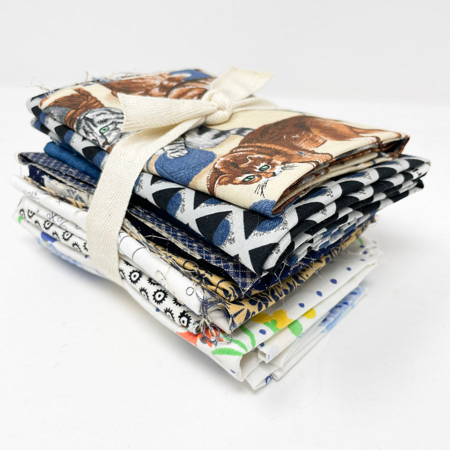 Top Cat Fabric Bundle - Asst. Sizes