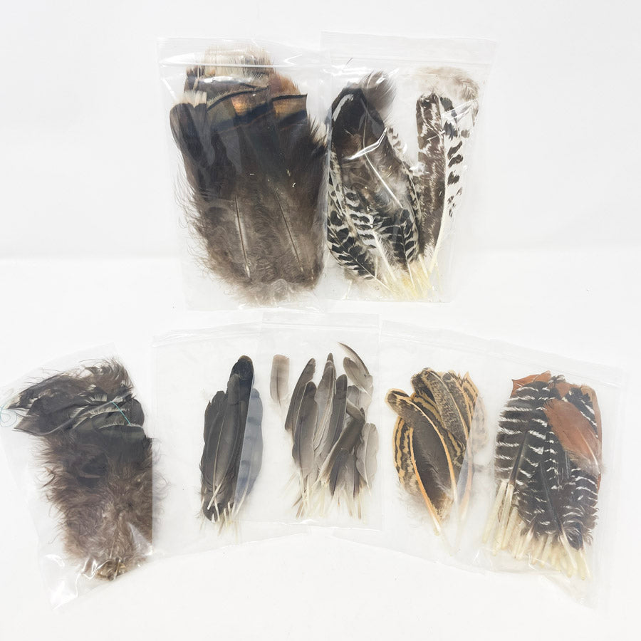 Sm. Bag of Assorted Feathers (1)