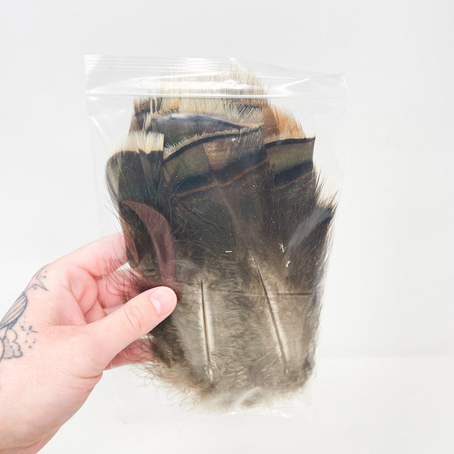 Sm. Bag of Assorted Feathers (1)