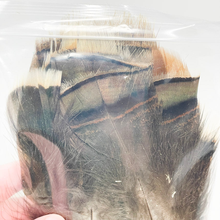 Sm. Bag of Assorted Feathers (1)
