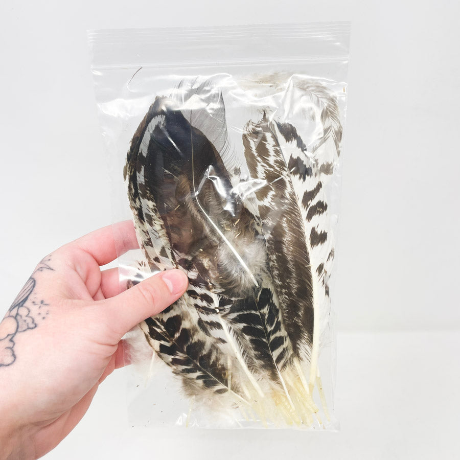 Sm. Bag of Assorted Feathers (1)