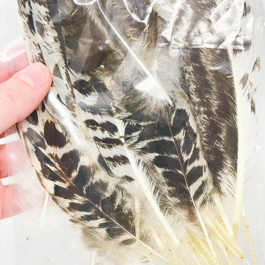 Sm. Bag of Assorted Feathers (1)