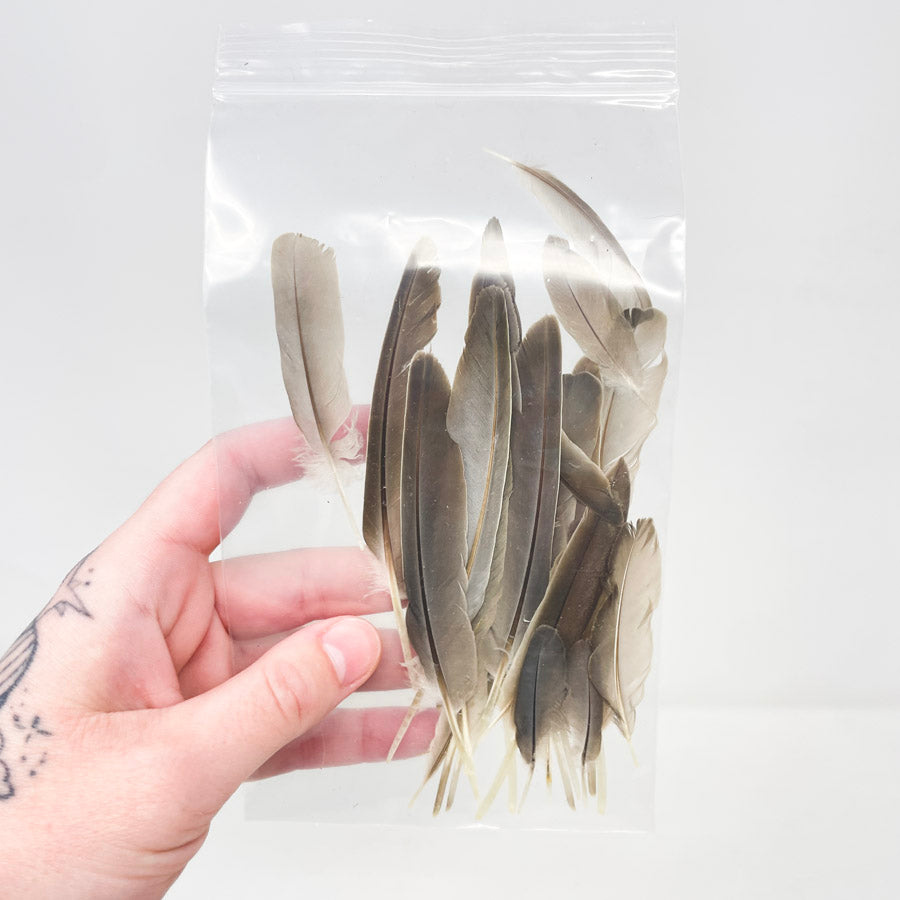 Sm. Bag of Assorted Feathers (1)