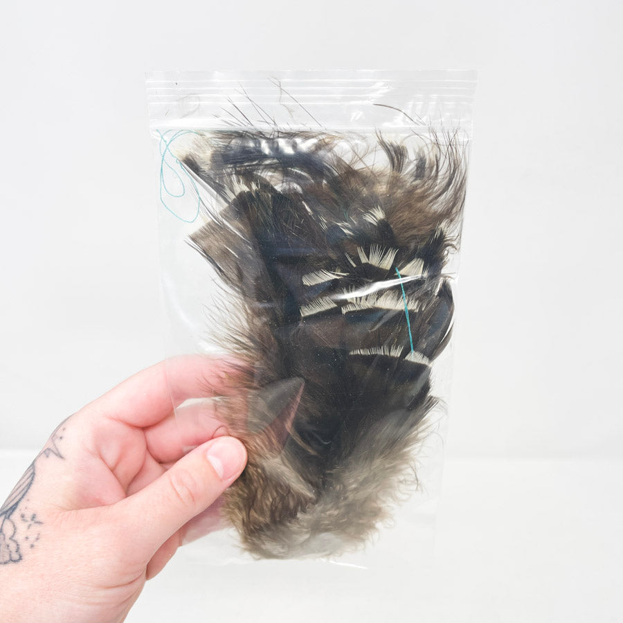 Sm. Bag of Assorted Feathers (1)