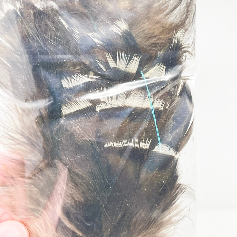 Sm. Bag of Assorted Feathers (1)