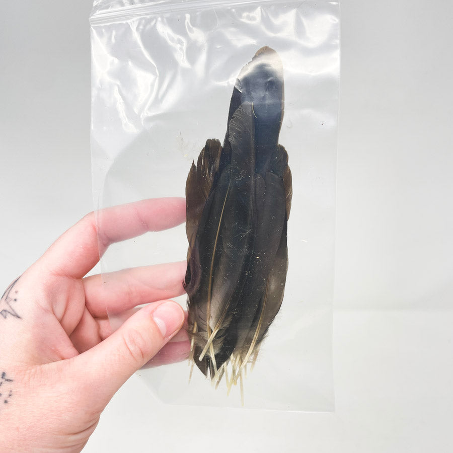 Sm. Bag of Assorted Feathers (1)