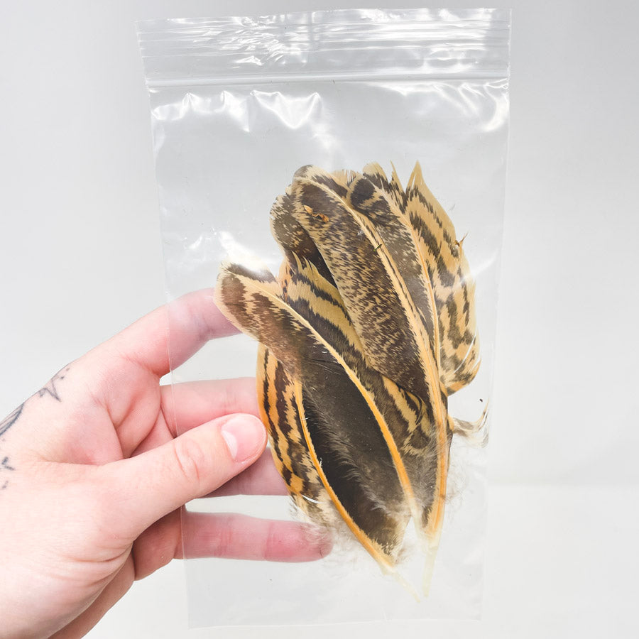 Sm. Bag of Assorted Feathers (1)