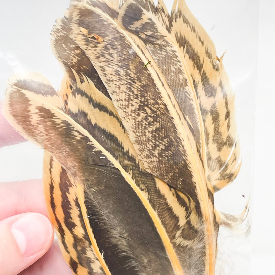Sm. Bag of Assorted Feathers (1)