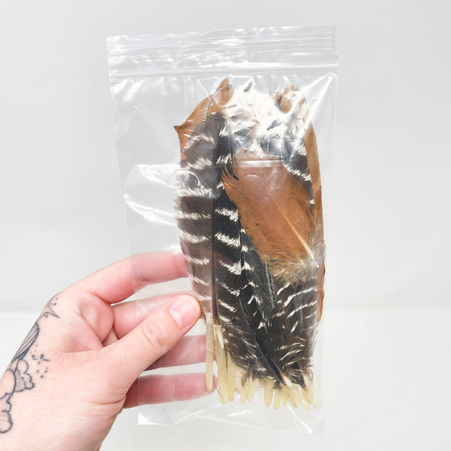 Sm. Bag of Assorted Feathers (1)