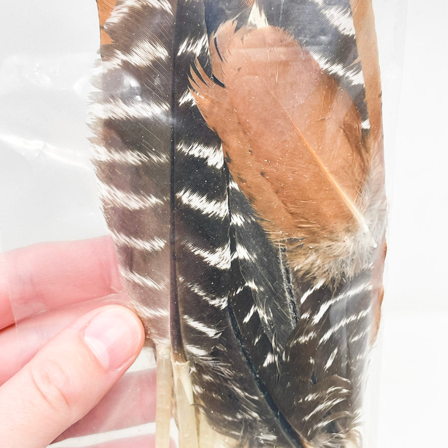 Sm. Bag of Assorted Feathers (1)