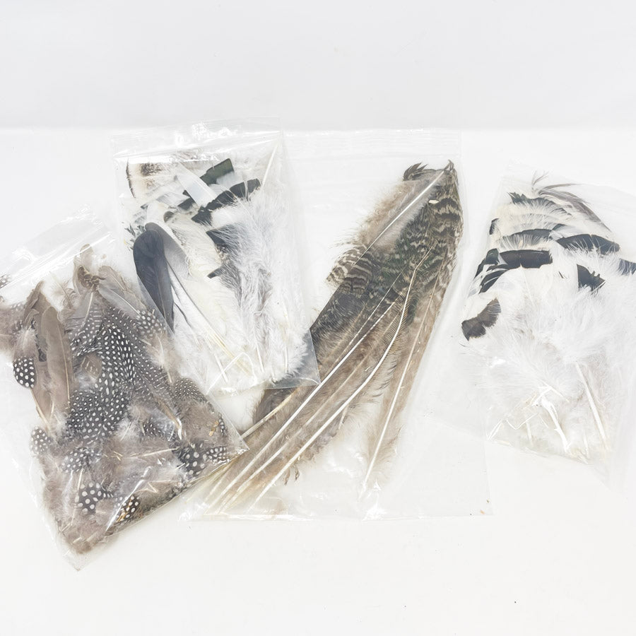 Md/Lrg Bag of Assorted Feathers (1)