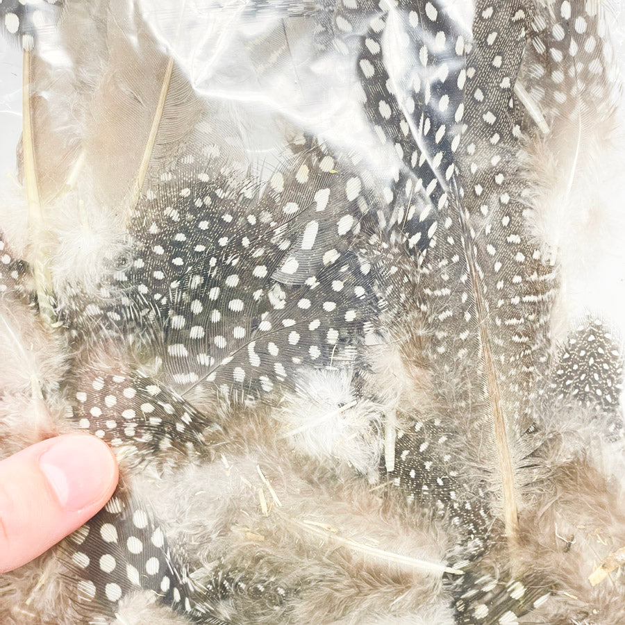 Md/Lrg Bag of Assorted Feathers (1)
