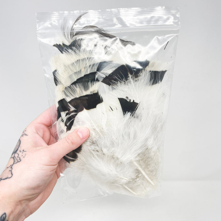 Md/Lrg Bag of Assorted Feathers (1)