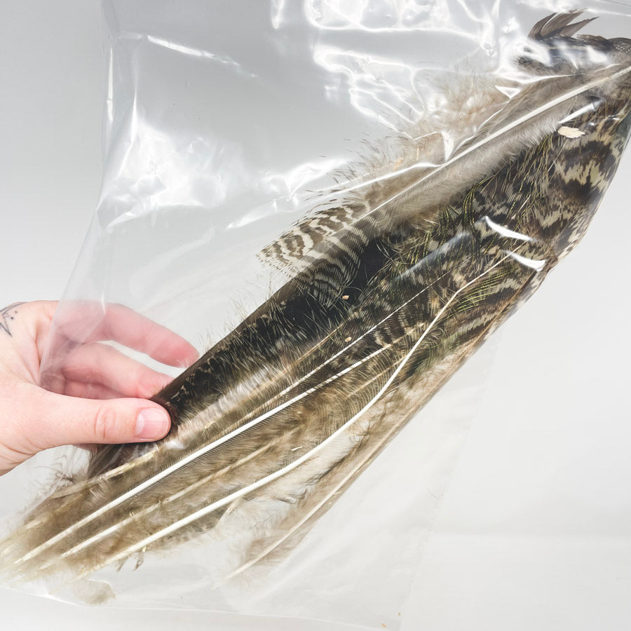 Md/Lrg Bag of Assorted Feathers (1)