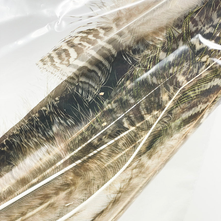 Md/Lrg Bag of Assorted Feathers (1)