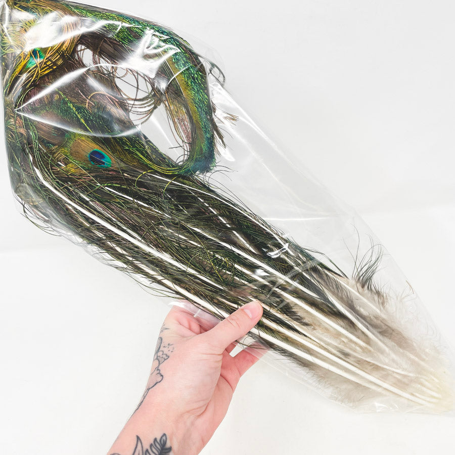 Md/Lrg Bag of Assorted Feathers (1)