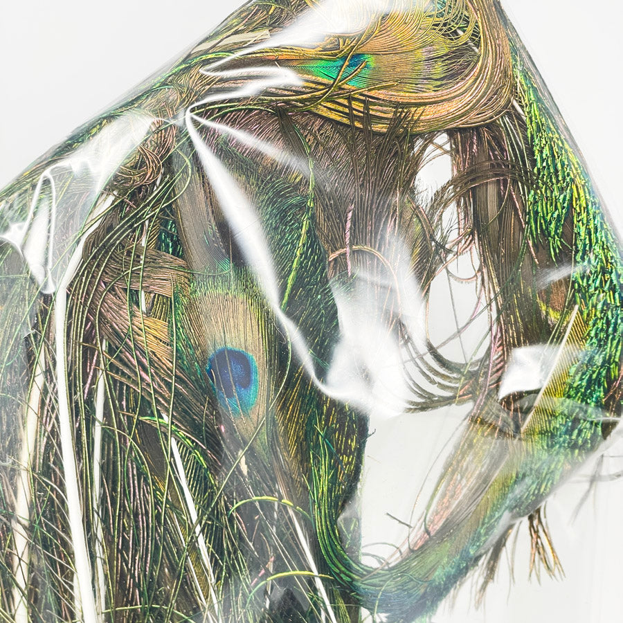 Md/Lrg Bag of Assorted Feathers (1)