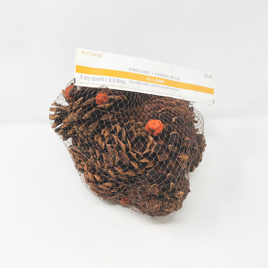 Pine Cones & Tiny Pumpkin Bundle