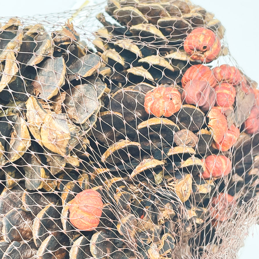 Pine Cones & Tiny Pumpkin Bundle