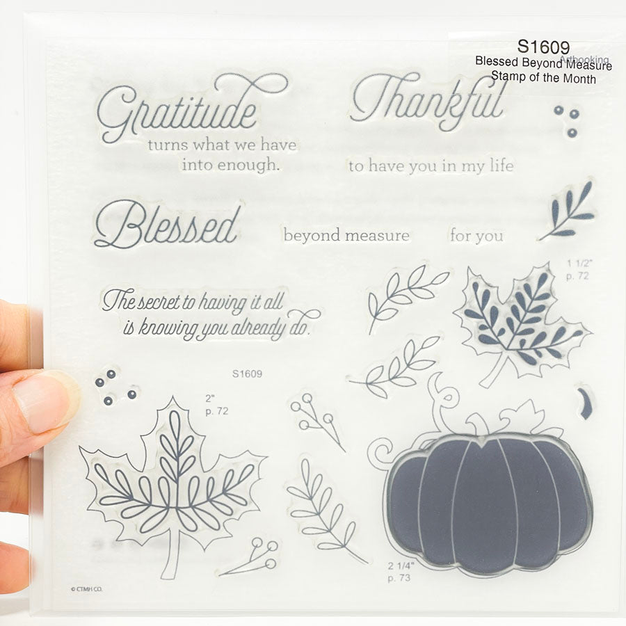 Close to my Heart-Stamp of the month - you choose