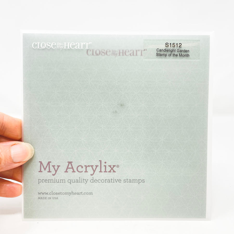 Close to my Heart-Stamp of the month - you choose