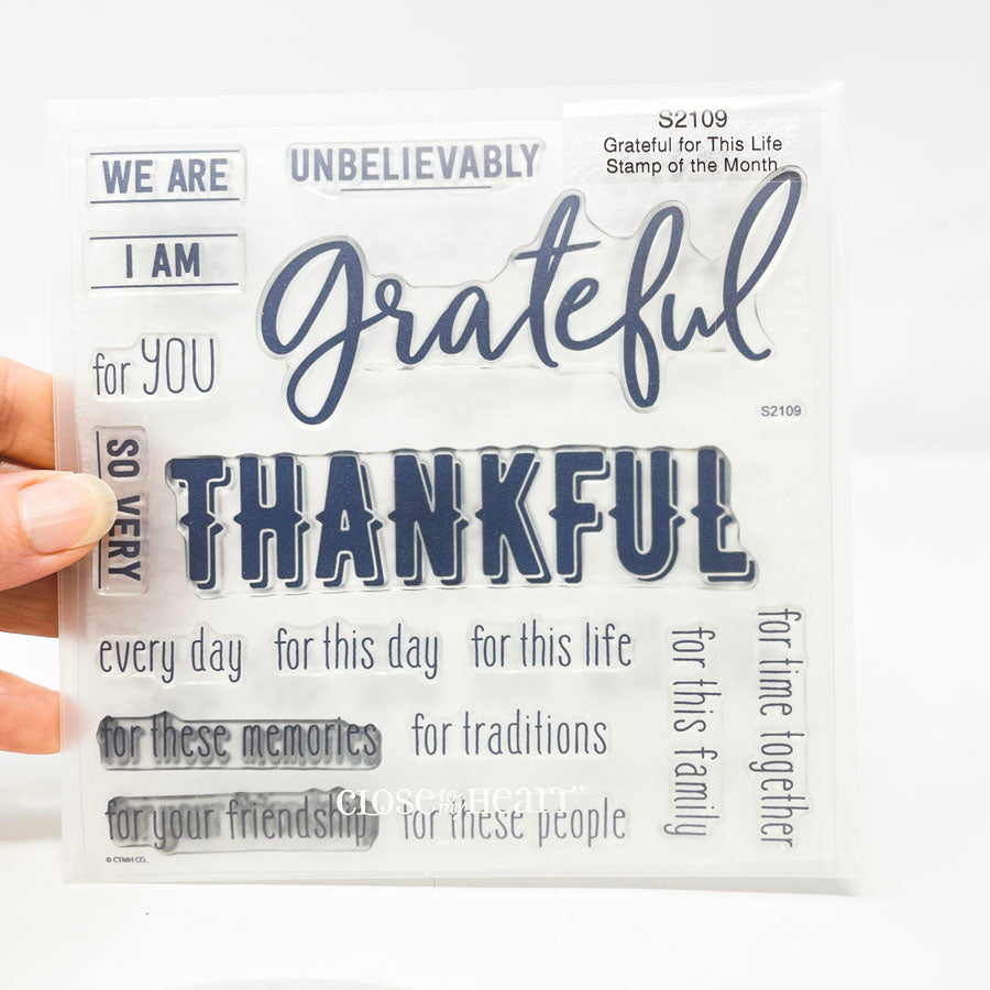 Close to my Heart-Stamp of the month - you choose