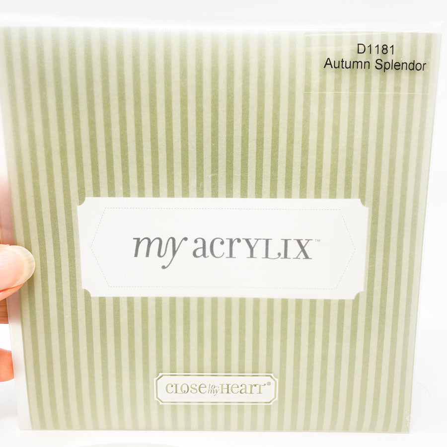 Close to my Heart-My Acrylix Stamps - you choose