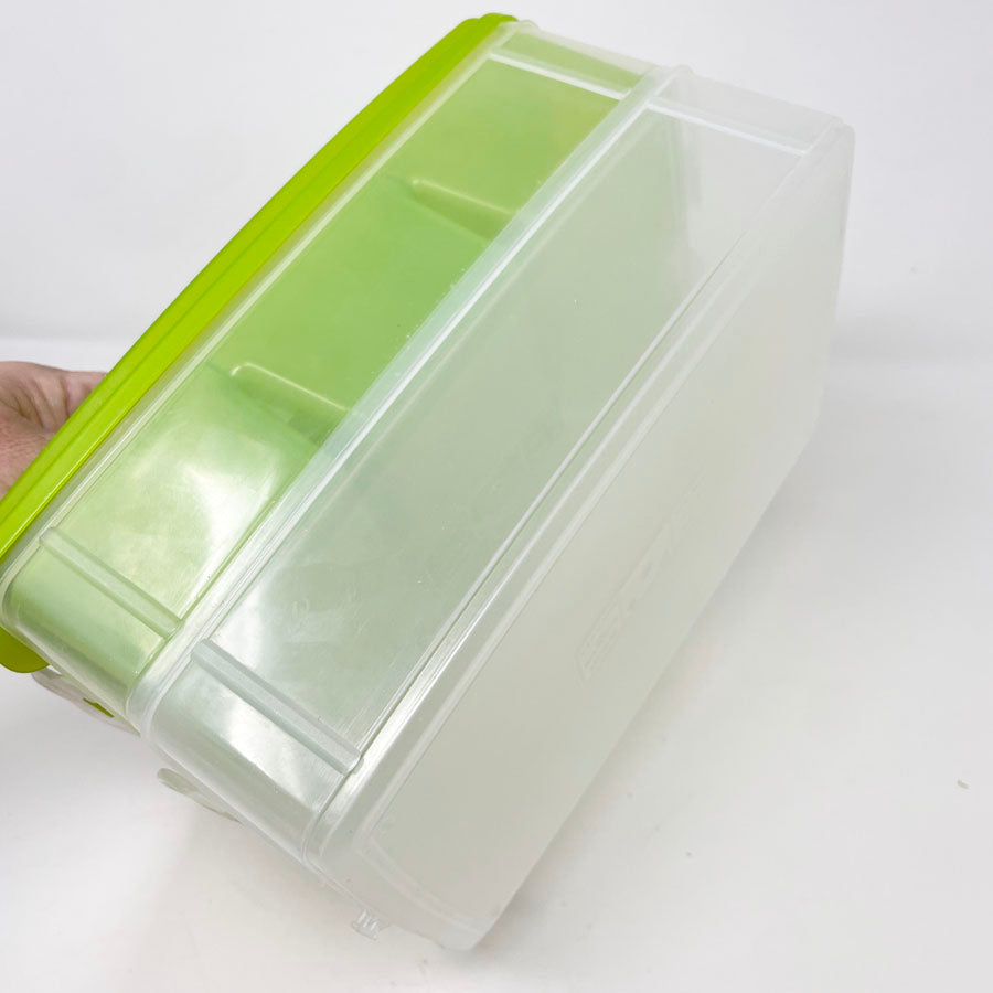 Snapware Green Storage Tote with Handle