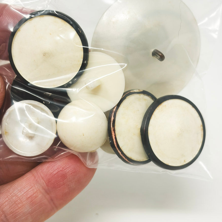 Medium White Shank Button Bundle
