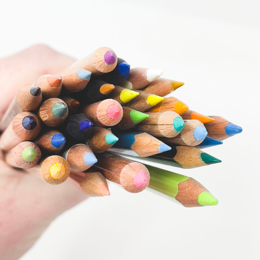 Assorted Color Pencil Bundle (32)