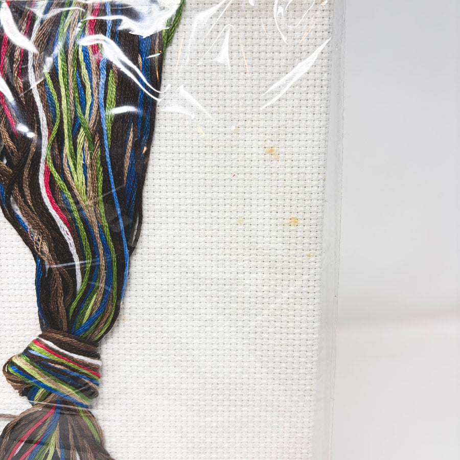 "Berries" Cross Stitch Kit by Bucilla