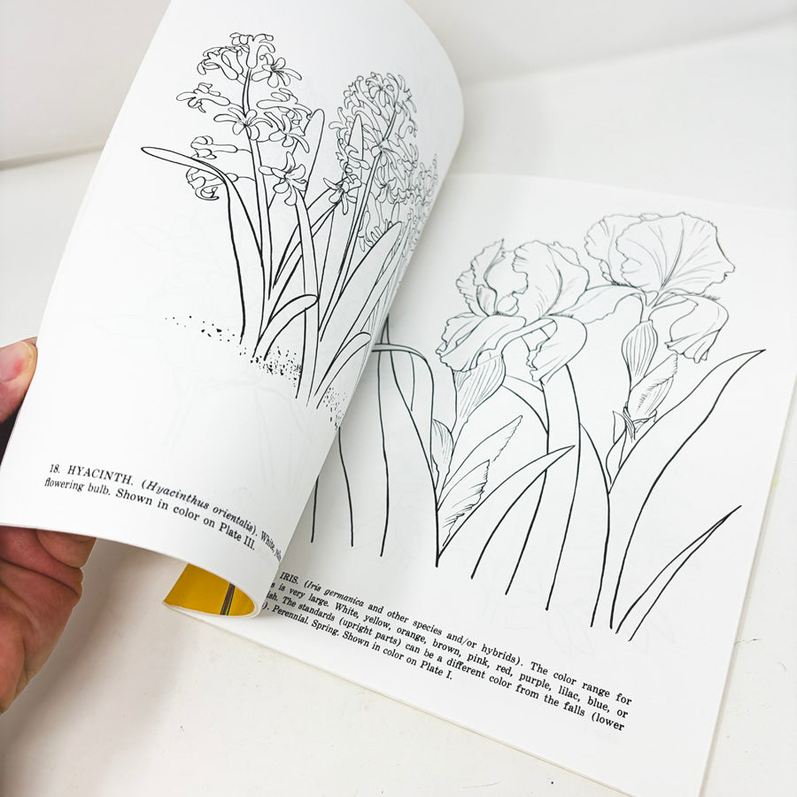 Garden Flowers Coloring Book by Dover