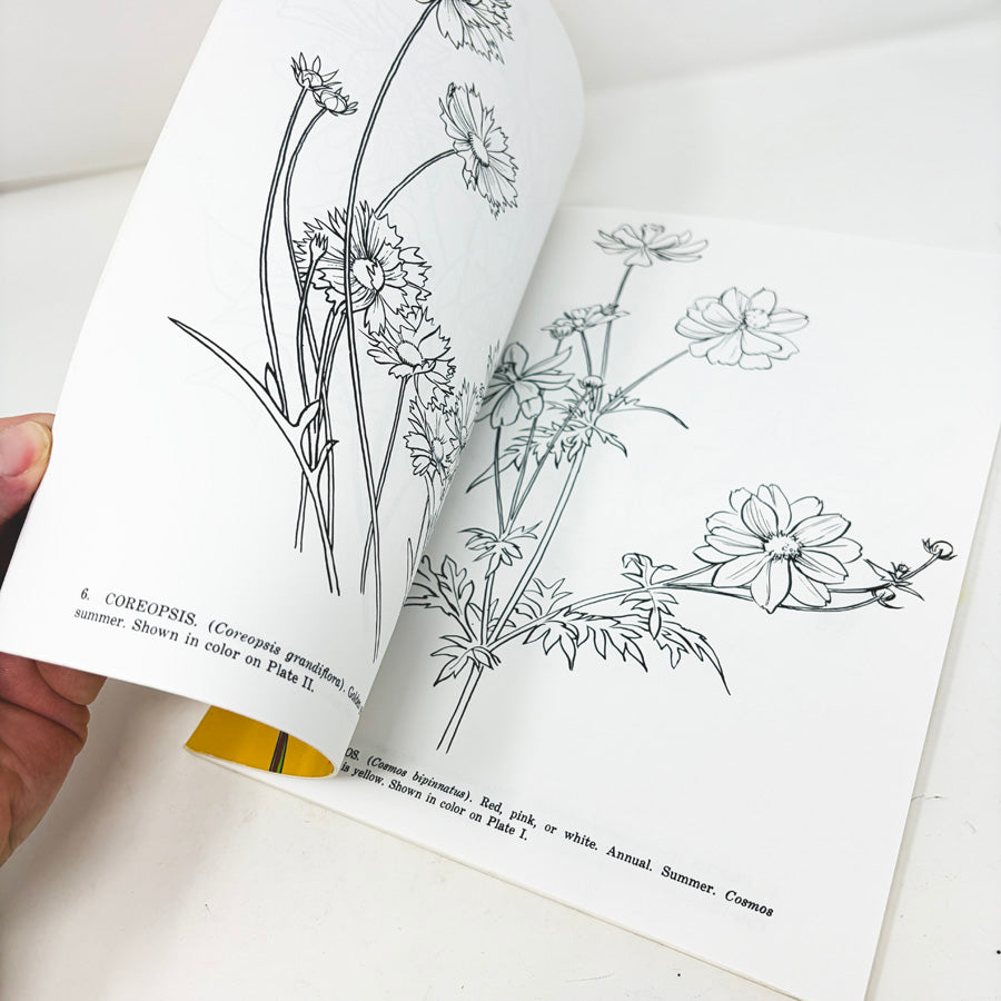 Garden Flowers Coloring Book by Dover
