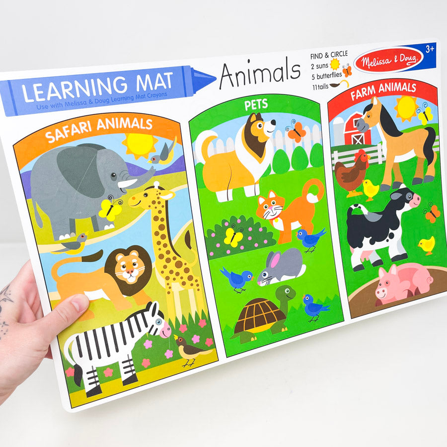 Melissa and Doug Learning Mat (1)