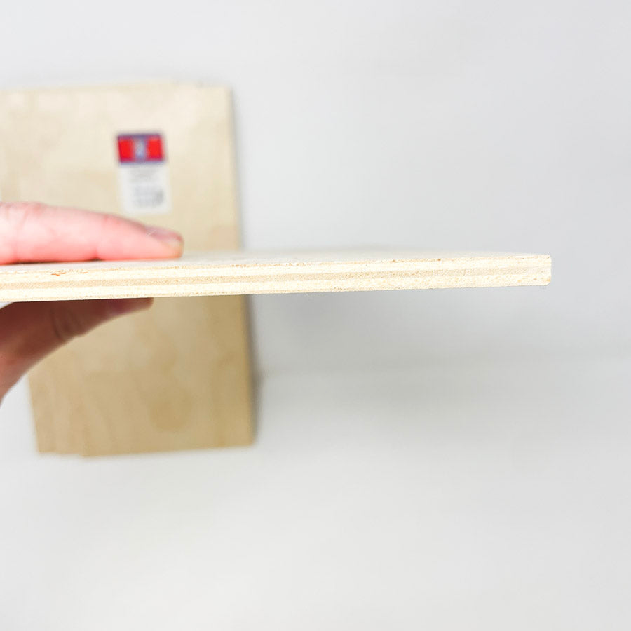 Craft Plywood 6" x 12" (1)