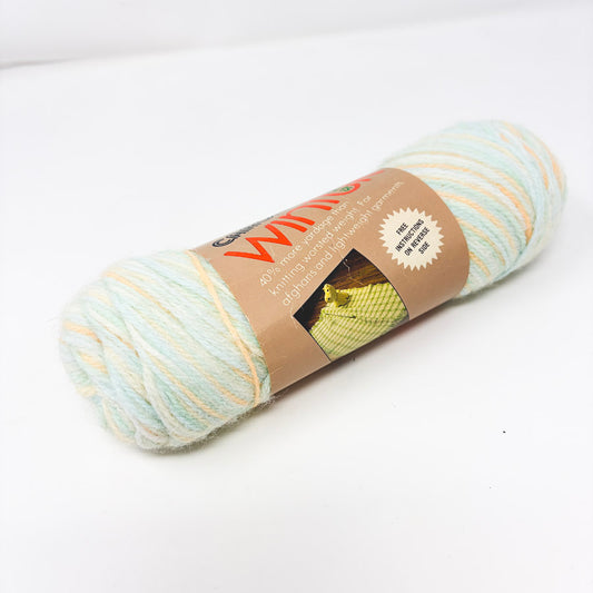 Caron Wintuk Sweet Spice Acrylic Yarn