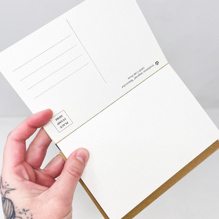 Strathmore Blank Post Cards