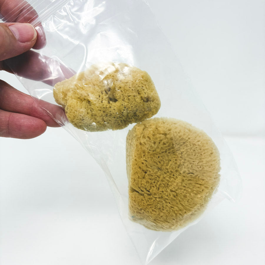 2 Painting Sponges