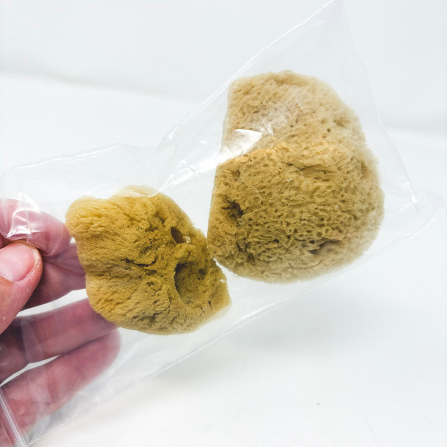 2 Painting Sponges